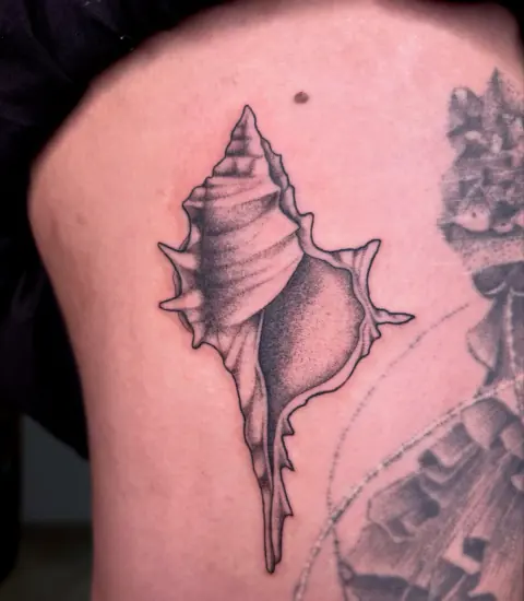 Caracola en negro y gris