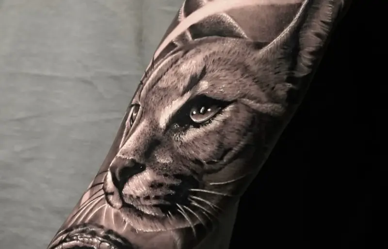 Tatuaje realista en negro y gris de un felino