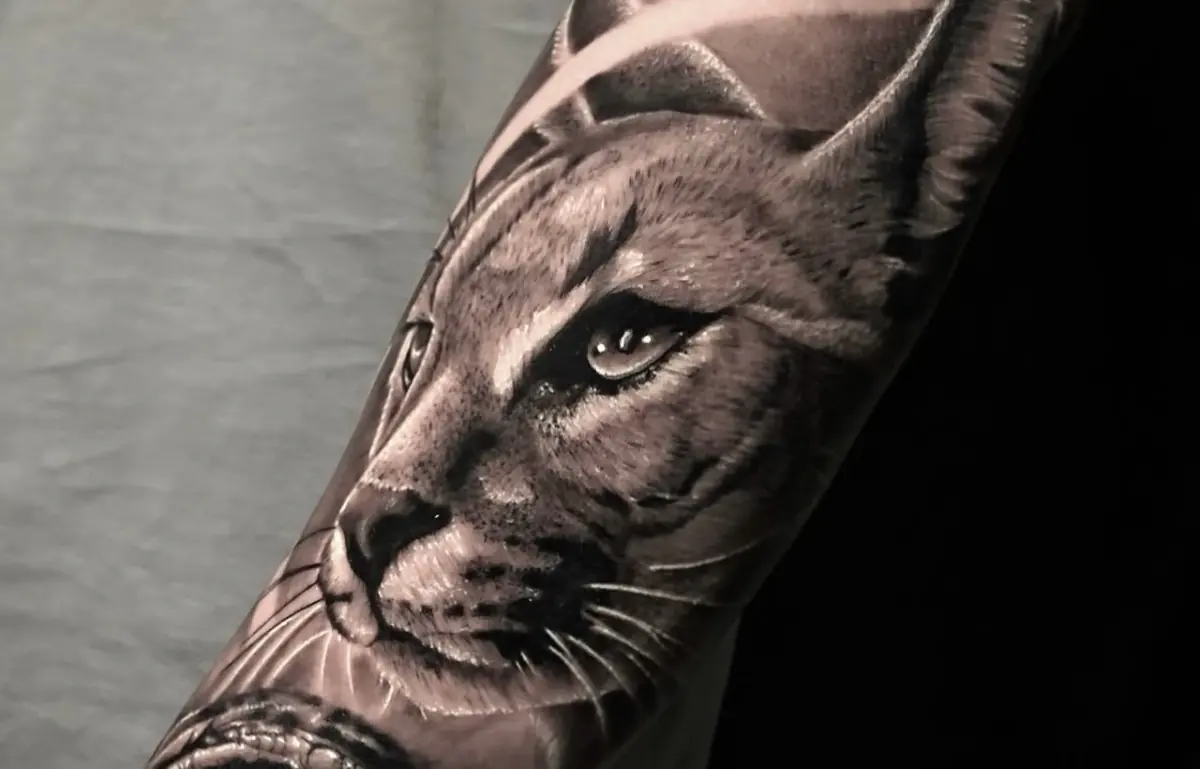 Tatuaje realista en negro y gris de un felino en el antebrazo